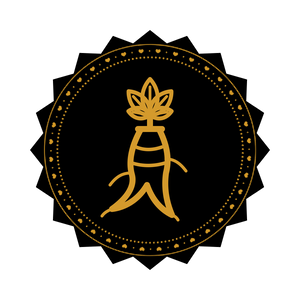 Raiz de ginseng